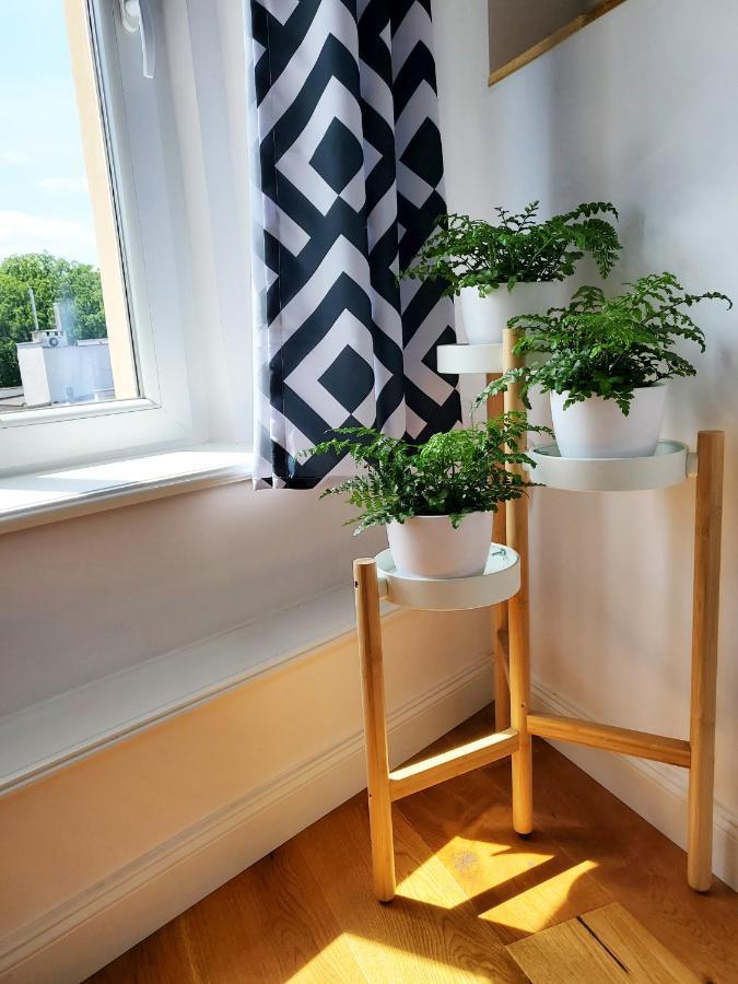 Centrum Grand Apartament Leilighet Świdnica Eksteriør bilde